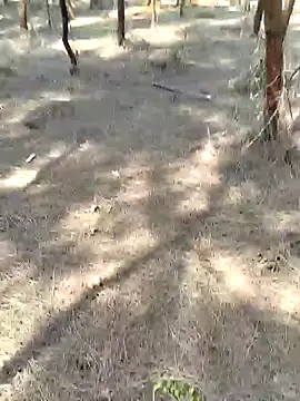 Gopal1243 online show from February 20, 5:33 am