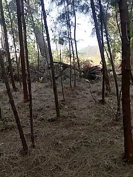 Gopal1243 online show from February 26, 2:15 am