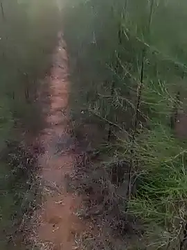 Gopal1243 online show from March 1, 1:22 am