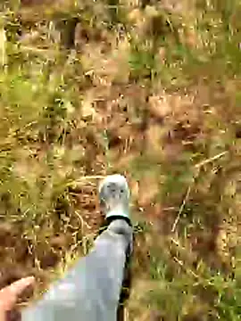 Gopal1243 online show from January 7, 7:55 am