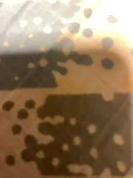 fep84 online show from March 22, 4:49 am