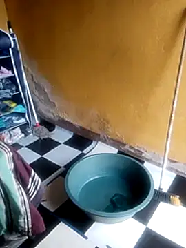 LULE37587001 online show from November 22, 5:17 am