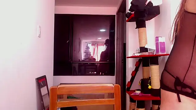 karinasodi 1 online show from December 3, 8:07 pm