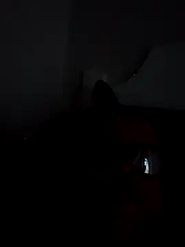 BocaElite online show from April 26, 11:52 am