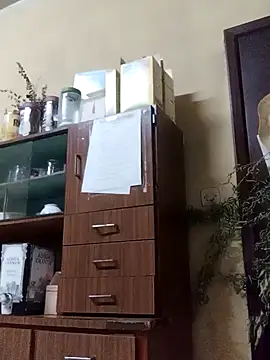 White rabbit  online show from December 6, 8:37 am