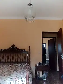 White rabbit  online show from December 8, 10:08 am