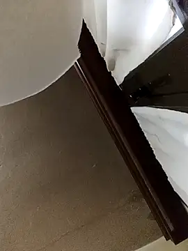 White rabbit  online show from December 11, 4:53 pm