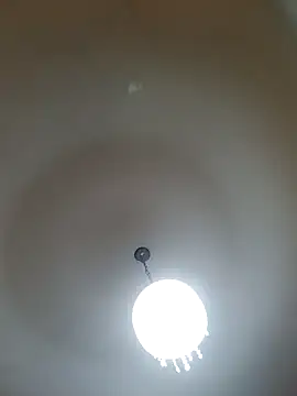 White rabbit  online show from February 26, 7:16 pm