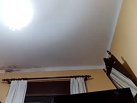 White rabbit  online show from February 27, 9:14 pm