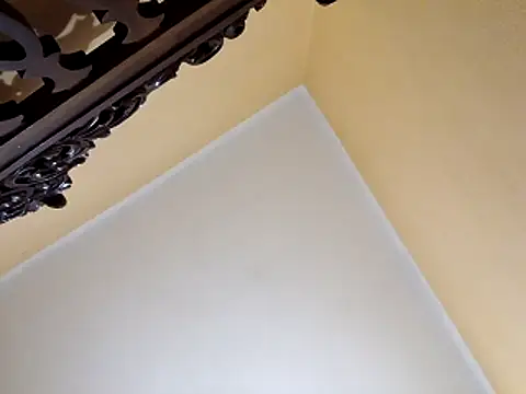 White rabbit  online show from October 29, 10:00 pm