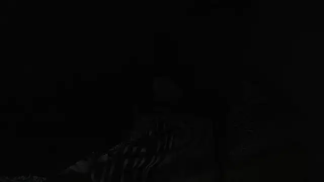 BELINDAXXXXX online show from December 13, 8:04 pm