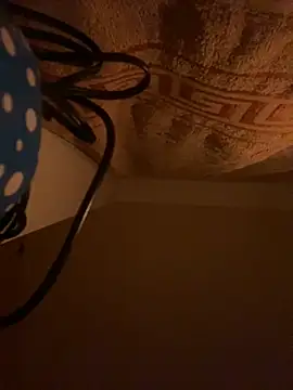 SexSanich online show from November 6, 4:02 am