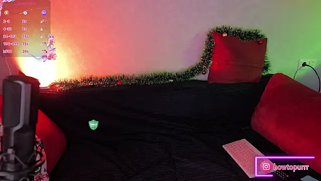 How2Meow online show from December 24, 5:23 pm