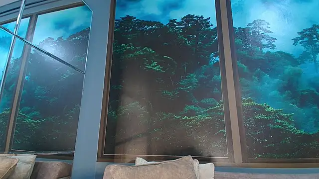 JONAS SMITH  online show from February 1, 6:29 pm