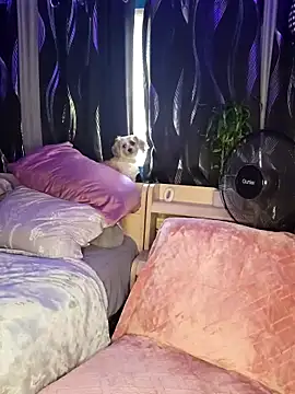 SexyNikki6969 online show from March 31, 9:59 pm