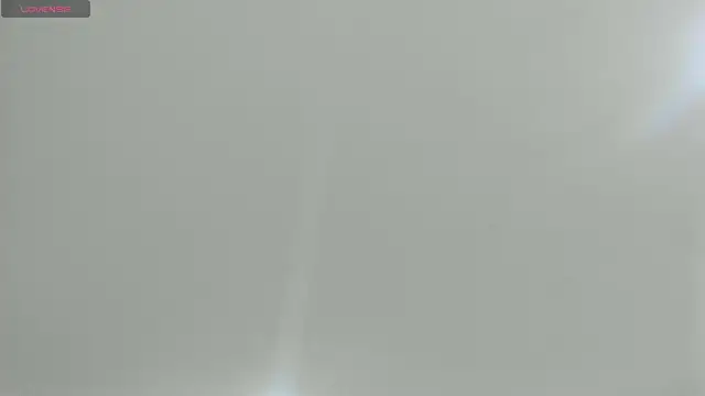 natasha logan  online show from February 21, 4:07 am