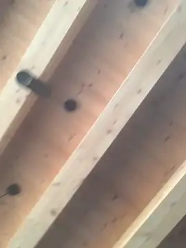 Snapshot of Fellix chatting on December 11, 11:30 am Fellix online show from December 11, 11:30 am