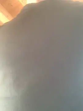 Snapshot of Fellix chatting on February 17, 11:34 am Fellix online show from February 17, 11:34 am