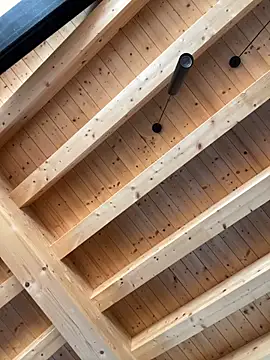 Snapshot of Fellix chatting on October 17, 10:29 am Fellix online show from October 17, 10:29 am