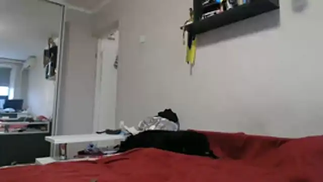 delightful sofi online show from November 11, 12:27 pm