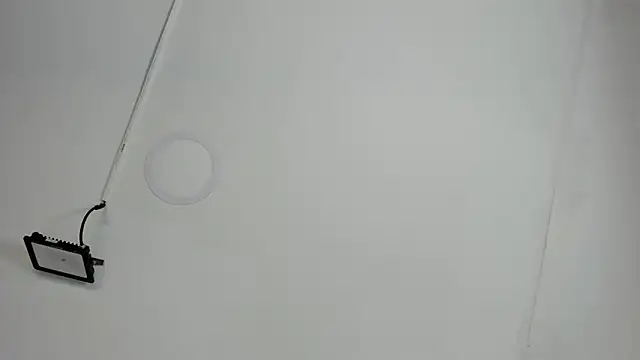 CeliWoods online show from October 12, 11:20 am