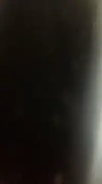 Likewise online show from December 22, 9:09 pm