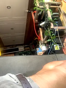 Likewise online show from December 18, 8:48 pm