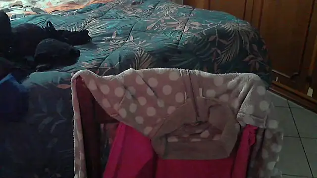 stellin online show from February 17, 4:57 pm