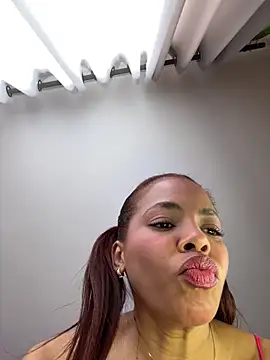 Ary mar online show from October 12, 11:42 am