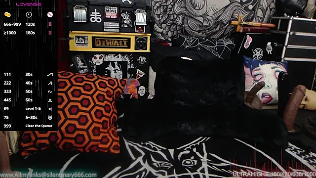 Silentmary online show from December 28, 7:43 pm