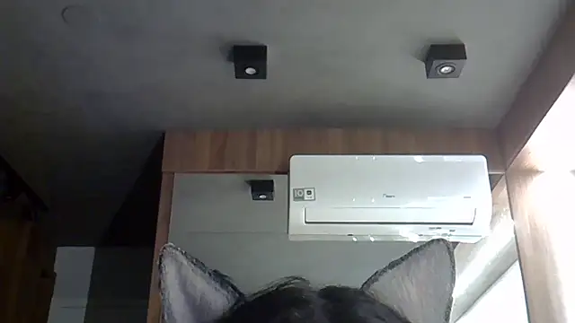 Snapshot of Skinny-Kitten chatting on October 20, 1:39 am Skinny-Kitten online show from October 20, 1:39 am