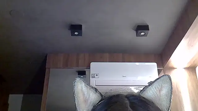 Skinny-Kitten online show from December 19, 11:23 pm