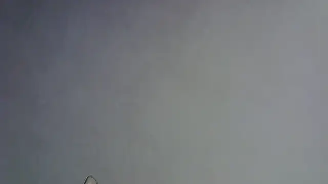 Skinny-Kitten online show from January 16, 5:28 pm