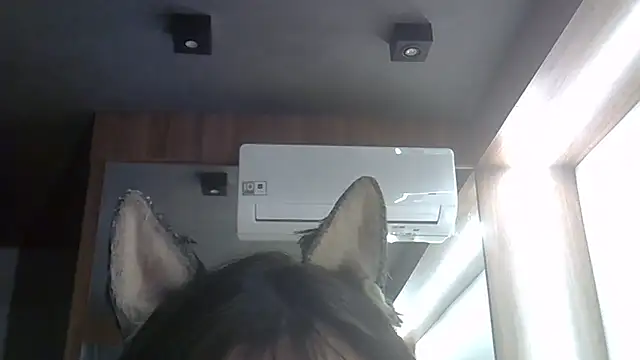 Skinny-Kitten online show from February 5, 9:41 pm