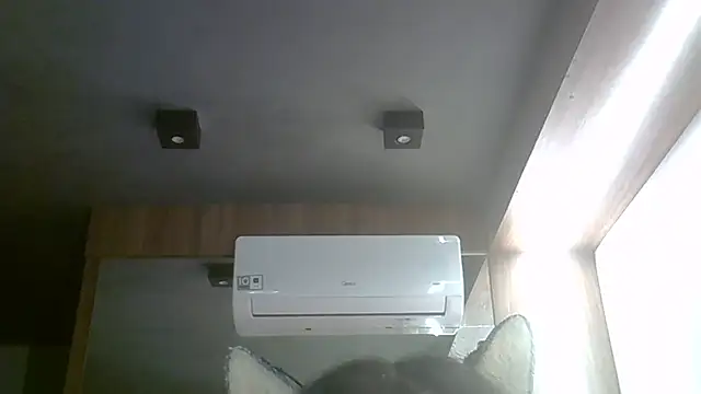 Skinny-Kitten online show from April 3, 9:40 am