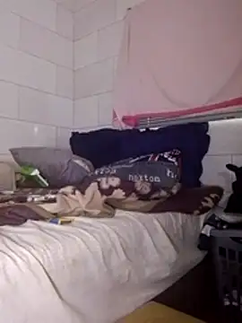 Stormward online show from March 25, 5:24 am