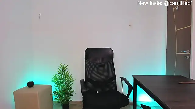 camille-rose online show from January 22, 8:06 pm