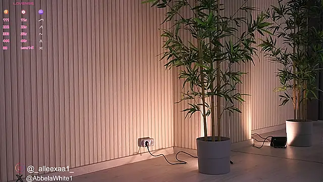 Abbela White online show from January 27, 9:23 am