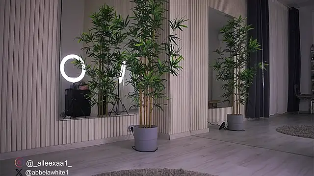 Abbela White online show from February 16, 10:21 am