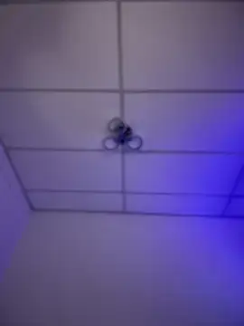 Charly  online show from November 16, 5:46 am