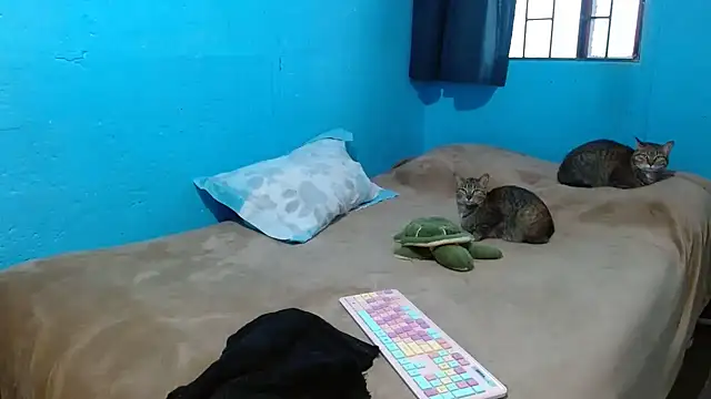 clarisse69 online show from March 18, 5:10 pm