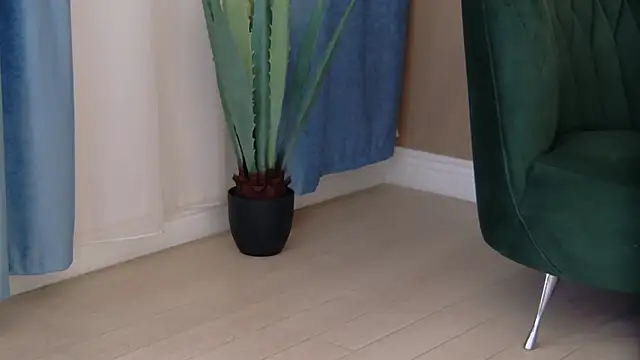 Snapshot of Bailey_Rush chatting on December 19, 4:14 pm Bailey Rush online show from December 19, 4:14 pm