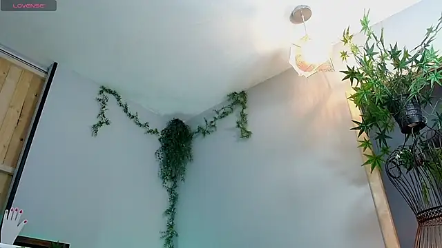 VickyJackson  online show from January 21, 7:50 pm