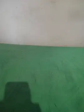 Snapshot of _Scorpion_ chatting on February 11, 7:38 pm Scorpion online show from February 11, 7:38 pm