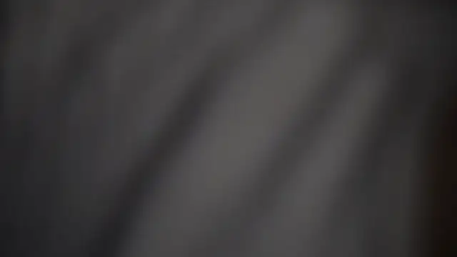 -AyeshaSinghania- online show from February 17, 1:29 pm