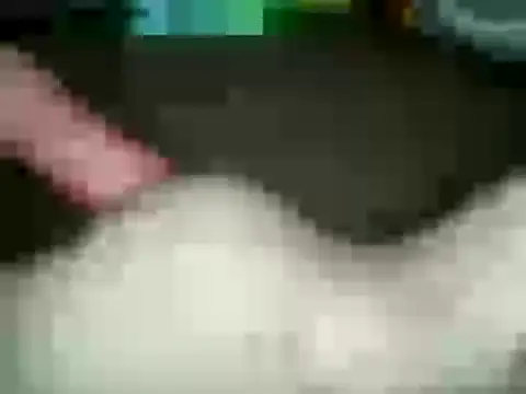 Snapshot of xxxlecram chatting on January 15, 2:56 pm xxxlecram online show from January 15, 2:56 pm