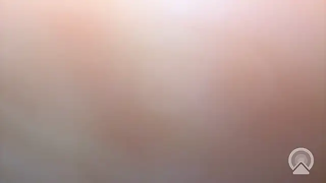 Aulonocara86 online show from December 17, 6:52 am