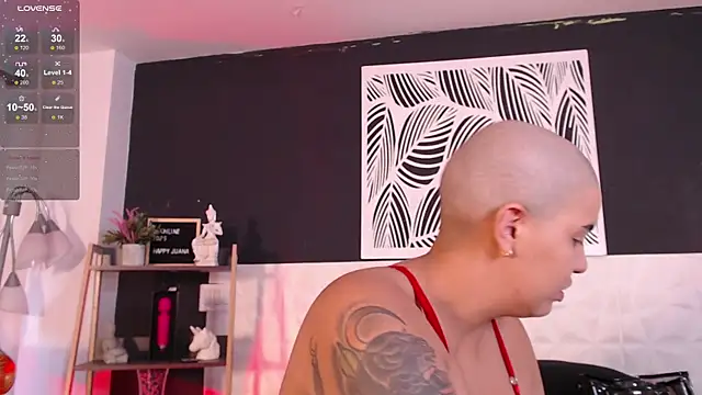 WildyTemping online show from March 1, 4:11 pm