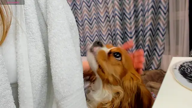 Peggy Beauty online show from January 15, 12:19 am