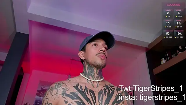 Snapshot of TigerStripes1_ chatting on March 3, 11:46 pm TigerStripes1 online show from March 3, 11:46 pm